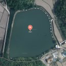 비들지낚시터 이미지