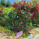 섬안경로당 이미지