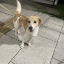 이마트24 옥천교점 이미지