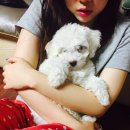 예스플로어 이미지