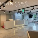스킨앤이어동물병원 | 송파구 방이동 동물병원 스킨앤이어 동물병원 위치 오는길 후기
