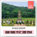 기세리선비마을협동조합 | 8월, 한여름의 무더위를 즐겁게 보낼 수 있는 국내 체험 여행지 추천