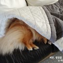 포미세탁소 이미지