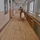 충남여자중학교 이미지