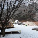 대관령 솔내음 오토 캠핑장 이미지