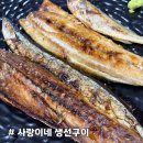 홍가네연탄생선구이 | [사랑이네 생선구이] 맛있는 녀석들에 나온 노릇노릇 겉바속촉 성남 연탄 생선구이 맛집