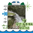 황토가든 | [광양] 옥룡계곡 광양 황토가든 닭구이 후기 여수 바다김밥과 함께한 여름 피서