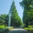 그린골프클럽 이미지