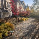 라온이네 이미지