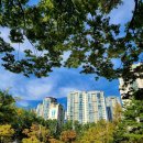 송이공원 화장실 이미지