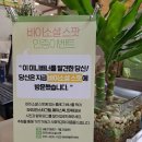 스토어36.5노원점