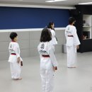 일동태권도장 이미지