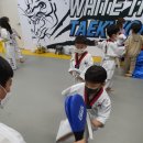 화이트 타이거 태권도 이미지