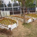 금정동주민자치위원회 이미지