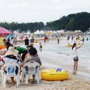 화진포(거진)해변 이미지