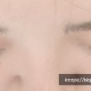 로렐아이래쉬 네이버블로그