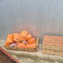 라온 태양광발전소 이미지