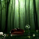 조용한아침 이미지