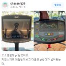 엔브이 이미지