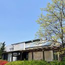 안골보리밥 이미지