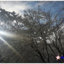 강천산 음용수 이미지