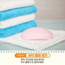 물때따라 이미지