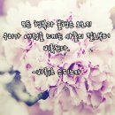 화랑태권도 이미지