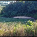양산면사무소 이미지