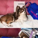 보미모텔 이미지