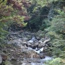 여행후~~ (5) 구례, 전주편 이미지