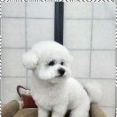 오늘도 예쁘개 이미지