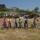 비안도초 이미지