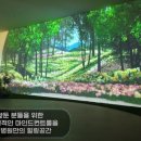 모두의정원 이미지