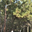 조이풀빌리지 이미지