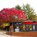 서대산드림캠핑파크 이미지