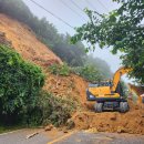 순천-22호 이미지