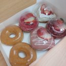 뱃살야옹 | 고양이와 사는 여자