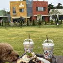 오늘도 신나개 이미지