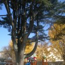 창평초교 유치원 이미지