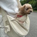 성우사우나 | 더앤리조트 펫룸' 2박3일 내돈내산 방문기 3탄│더앤스파, 조식, 카루나라운지지, 성우회관,사돈네닭강정