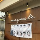 메그네이트비 이미지