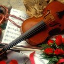 미라바이올린학원 | 바이올린 수업을 끊었어요 ㅋㅋㅋ