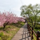 (주)복사꽃사람들 이미지