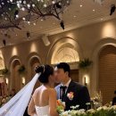 성남대로916번길 | W83 성남 밝은 하우스웨딩홀의 정석 라온제나 분당 본식 후기(with 코이본스냅)