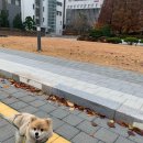 김호두 - 관악구 대학길 46 | 김호두