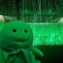 소리폭포(미디어) 이미지