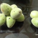 사촌(소공원) 이미지