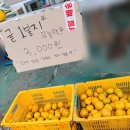 금복상회 네이버블로그