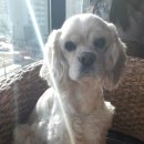 루이야 학교가자 이미지