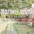 콩밭매는 강아지 이미지